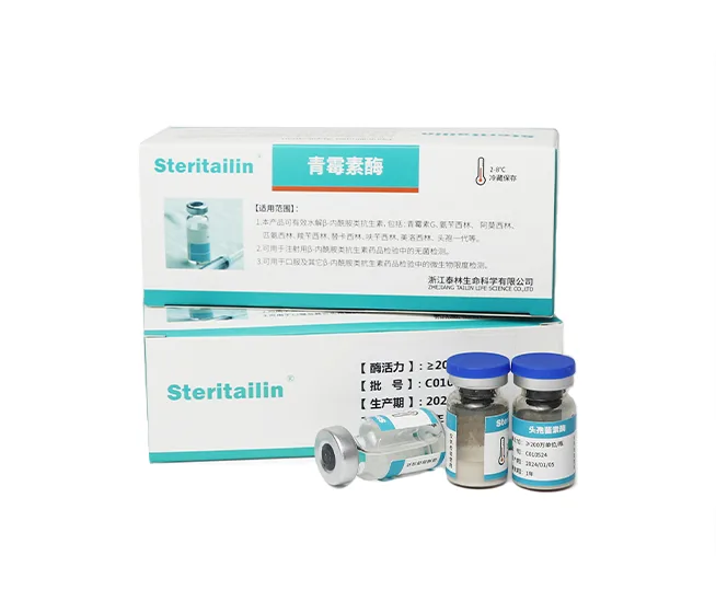 Lactamase Enzyme Products